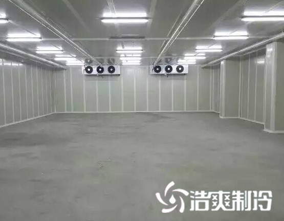 气调榴莲网站官网建造