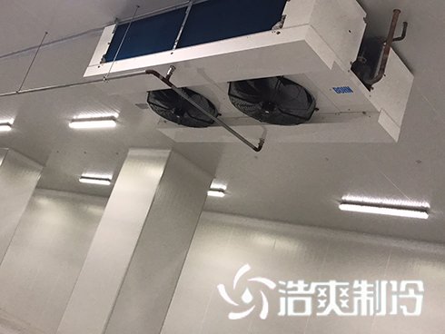 河北周黑鸭新工厂项目1#车间榴莲网站官网建造