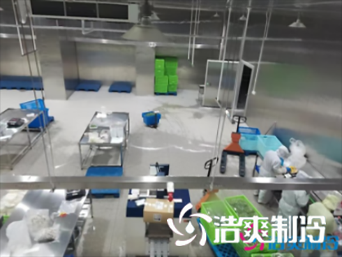 上海儒汇净菜中央厨房榴莲网站官网建造工程