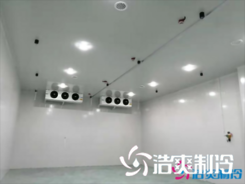上海巴洛美巧克力食品榴莲网站官网建造设计