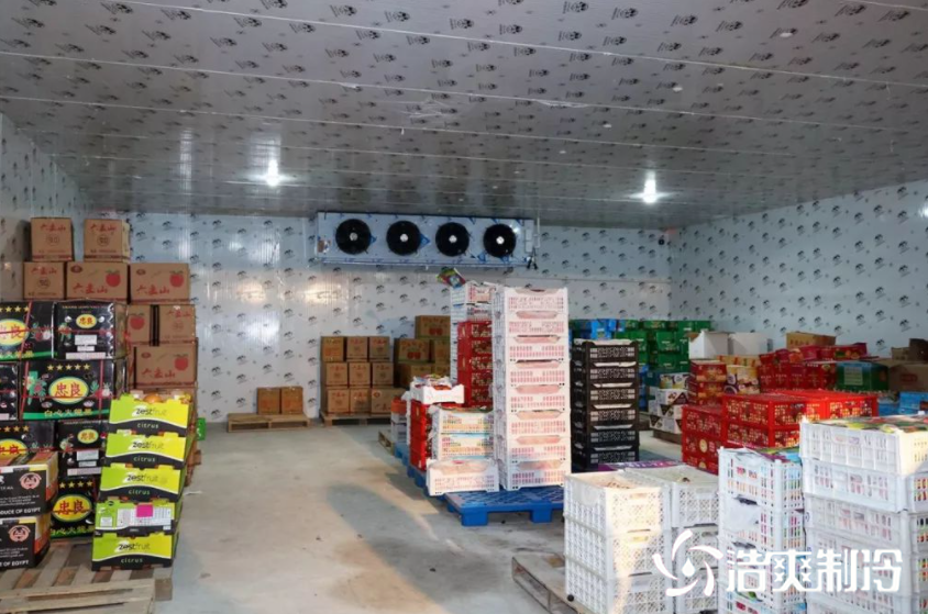 蛋品榴莲网站官网建造价格