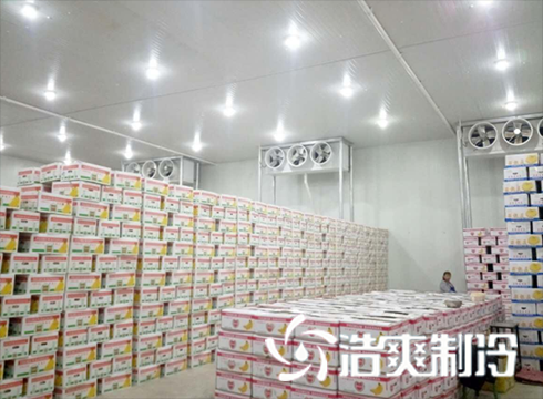 食品榴莲网站官网建造价格