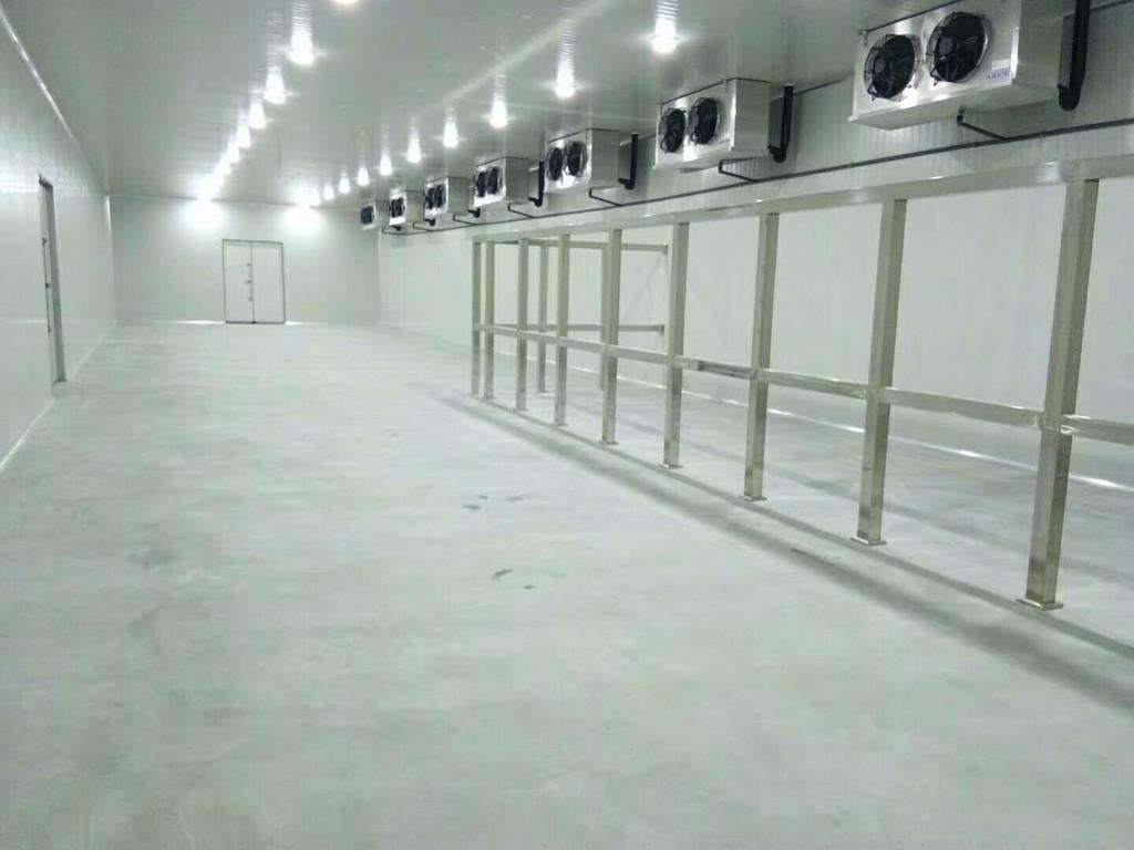 榴莲视频在线观看下载制冷、海鲜榴莲网站官网