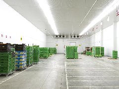 电商榴莲网站官网建造_榴莲视频在线观看下载制冷