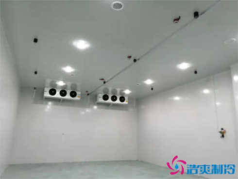 上海巴洛美巧克力食品榴莲网站官网建造设计
